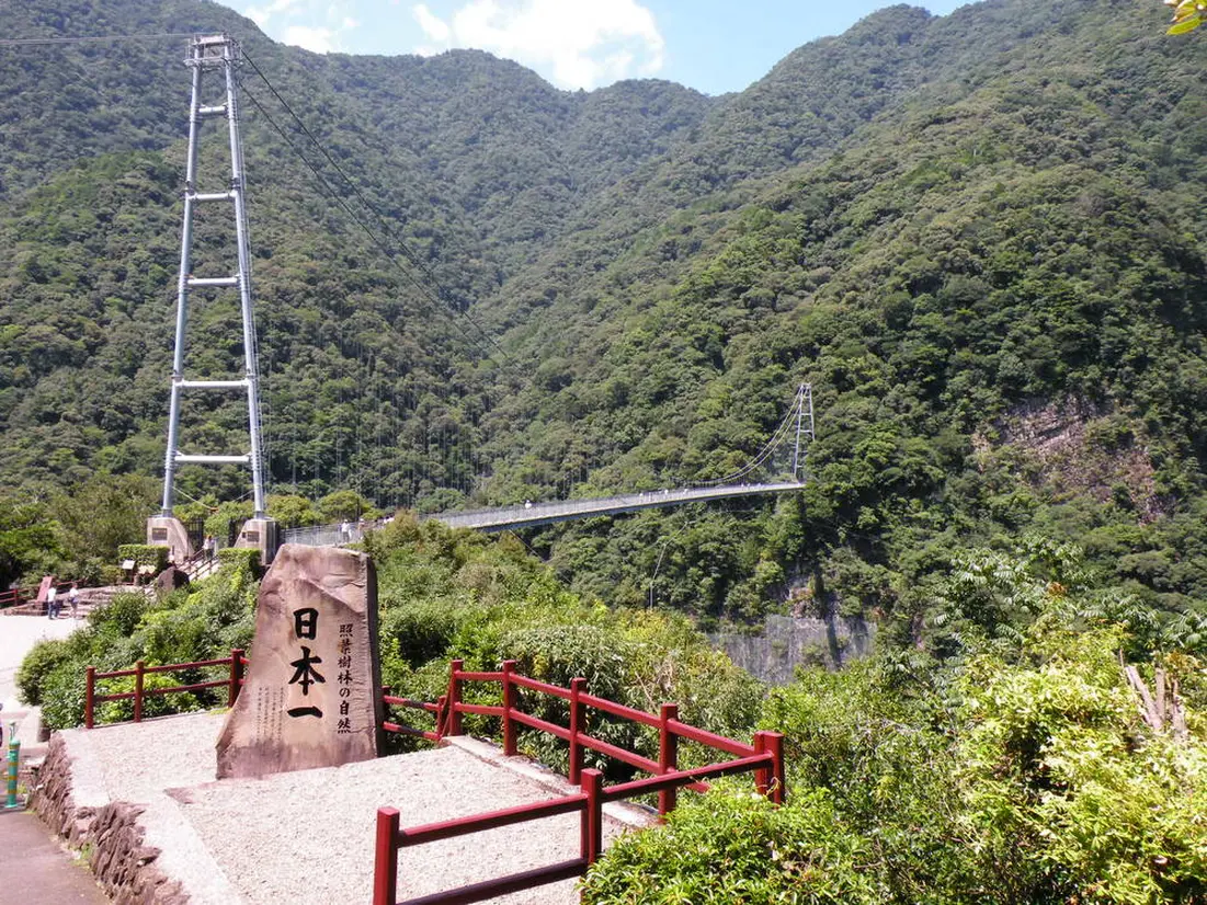 綾の照葉大吊橋