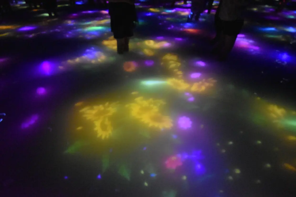 人と共に踊る鯉によって描かれる水面のドローイング  チームラボ プラネッツ TOKYO DMM.com