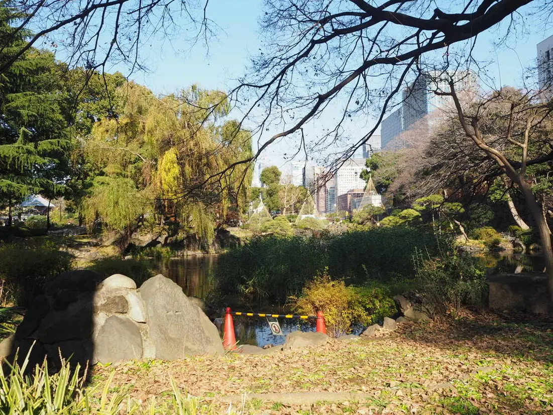 日比谷公園 自然