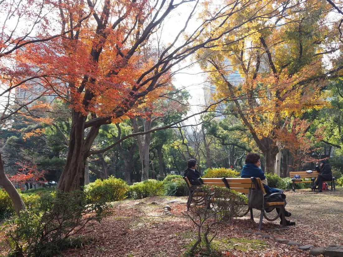 日比谷公園 ベンチ