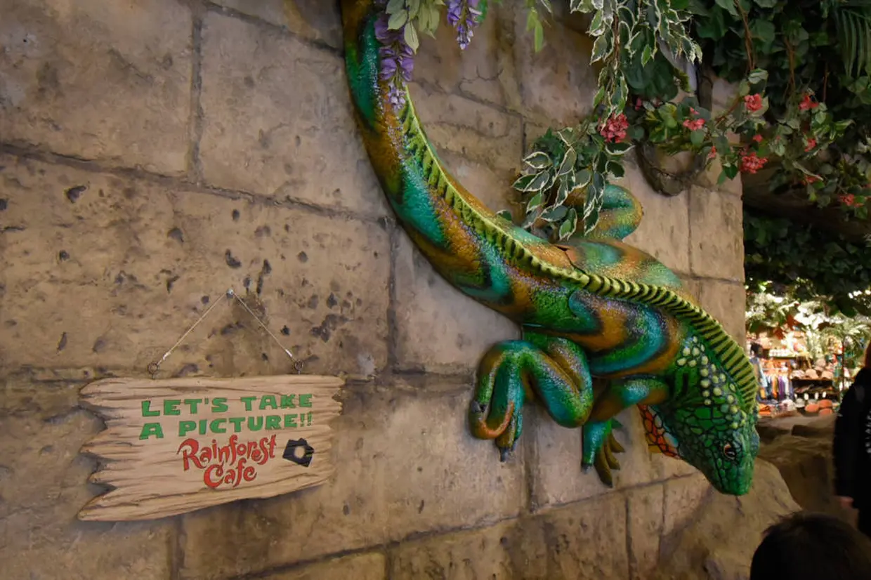 Rain Forest Cafe（レインフォレストカフェ）
