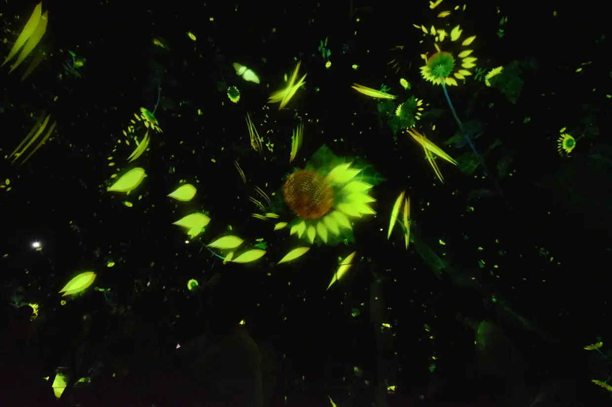 Floating in the Falling Universe of Flowers チームラボ プラネッツ TOKYO DMM.com