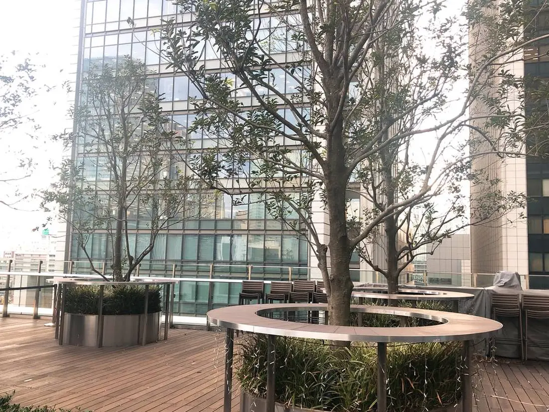 アルカナ東京　テラス