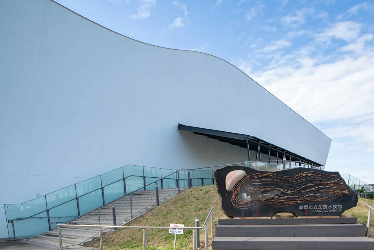 鶴岡市立加茂水族館