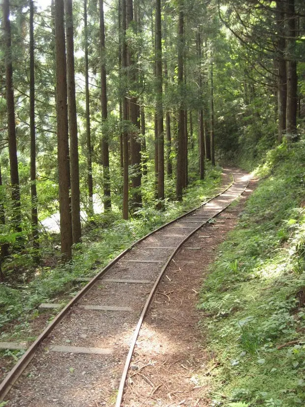 芦生研究林トロッコ道（提供：南丹市美山観光まちづくり協会）