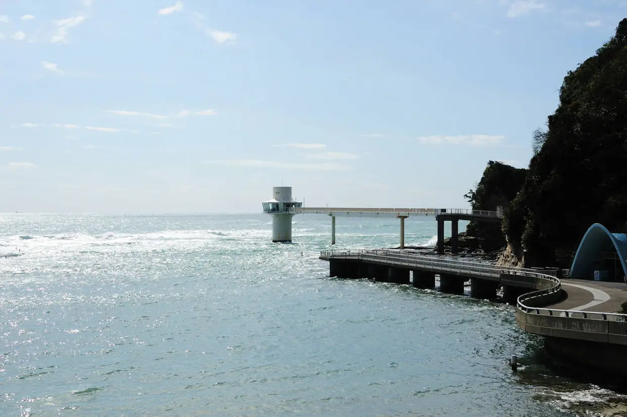 かつうら海中公園