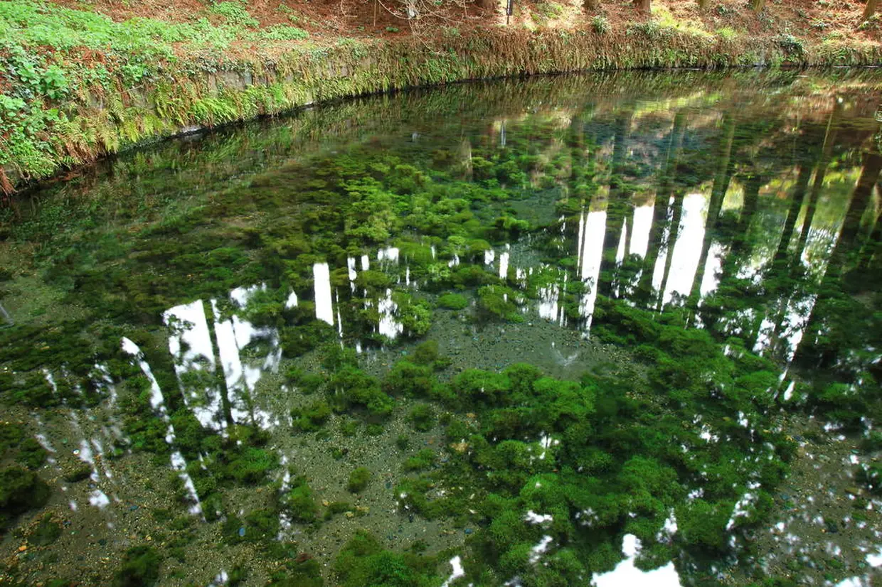 白川水源