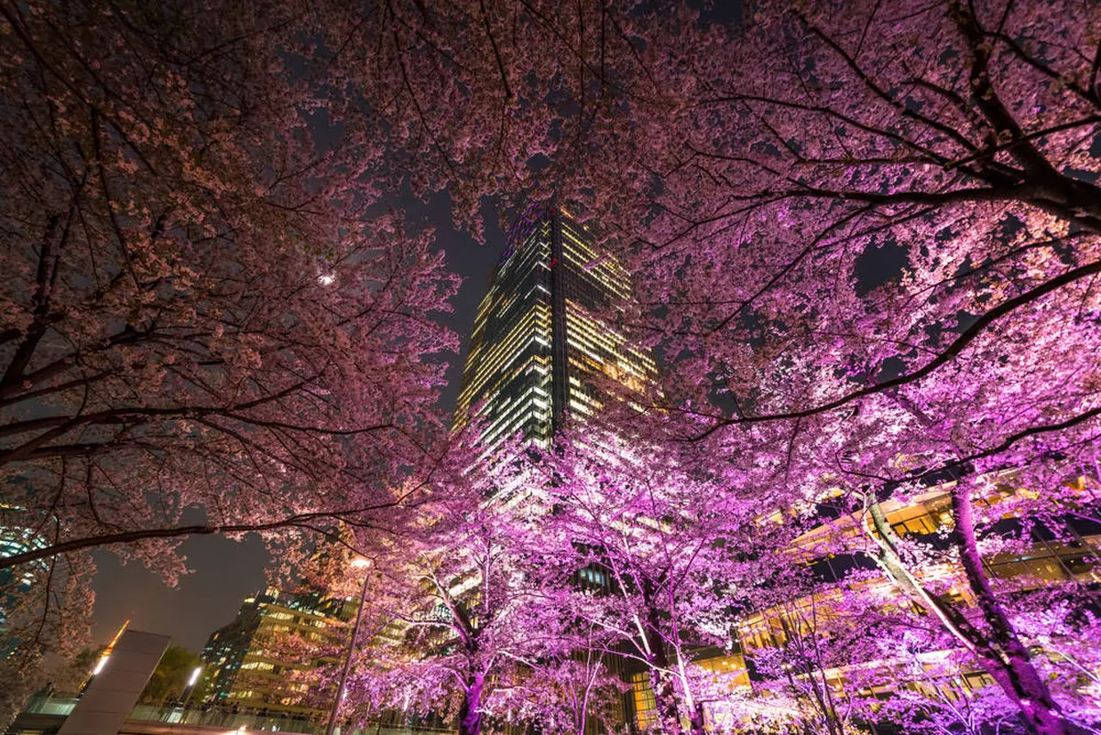東京ミッドタウン