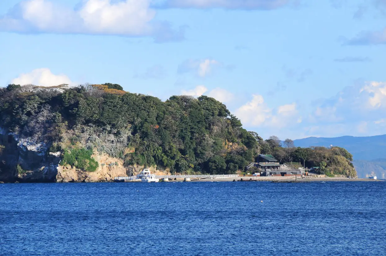 猿島
