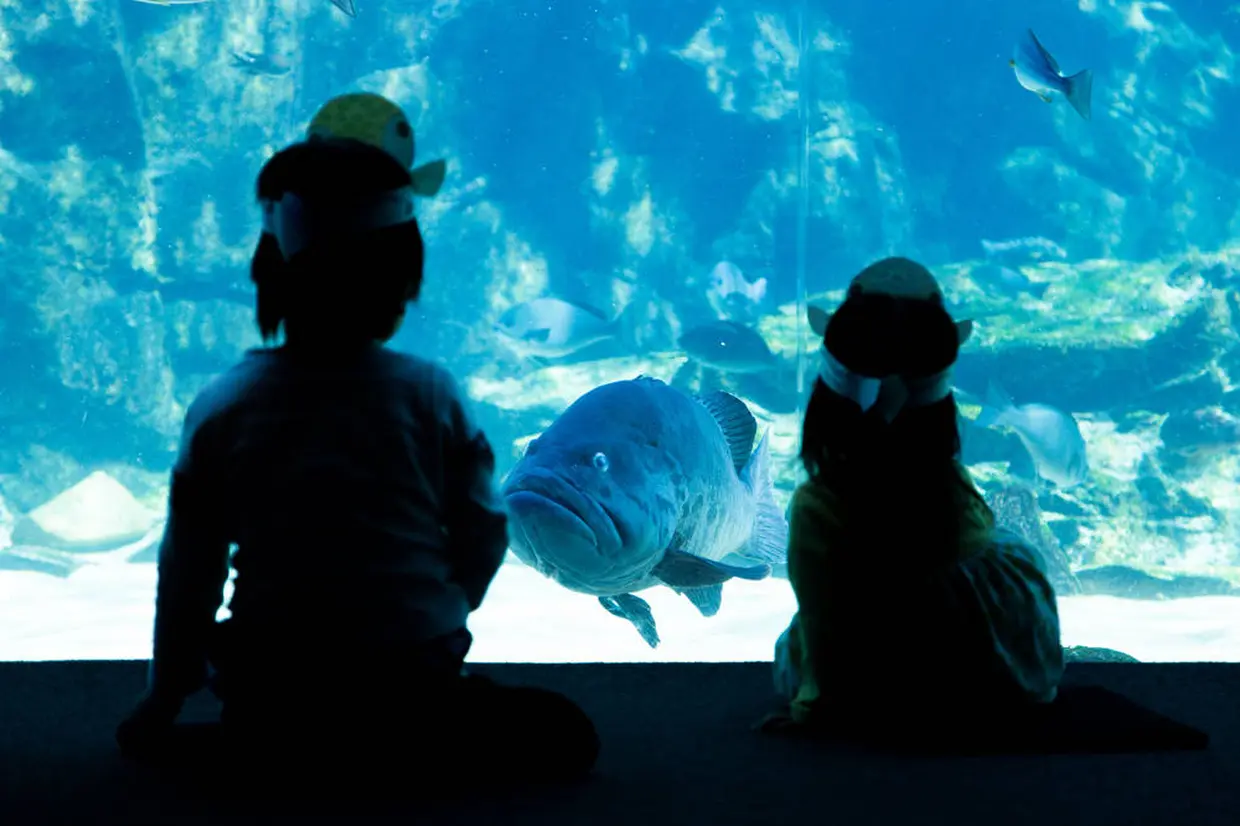 九十九島水族館　海きらら