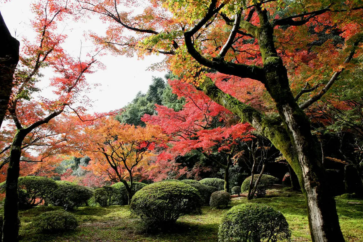 九年庵