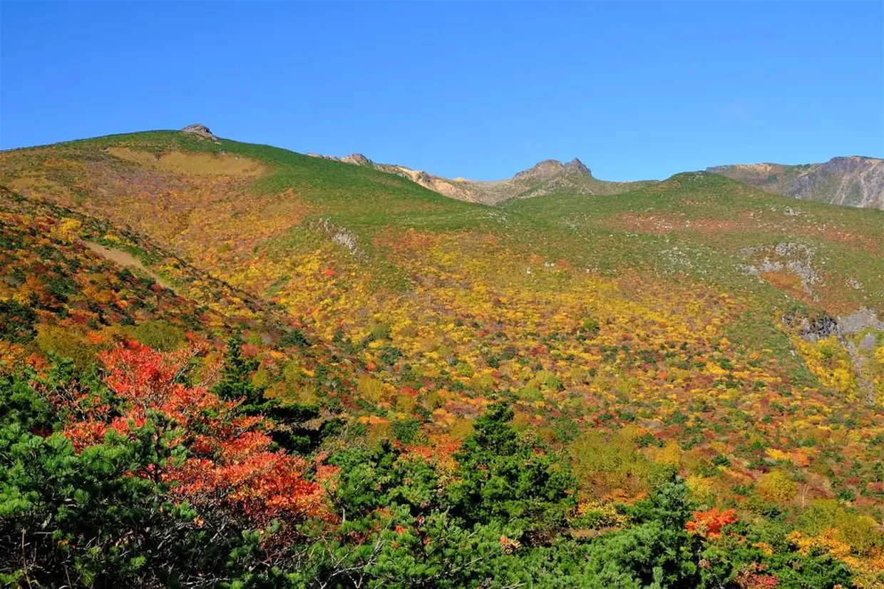 安達太良山の紅葉