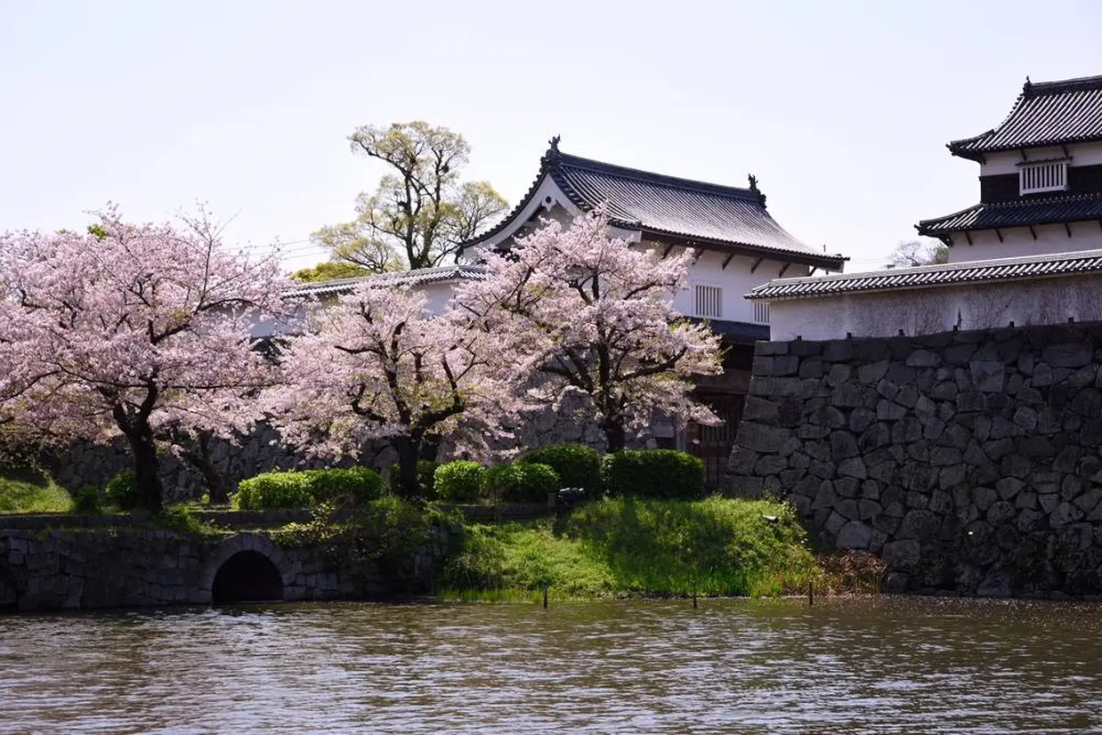 舞鶴公園