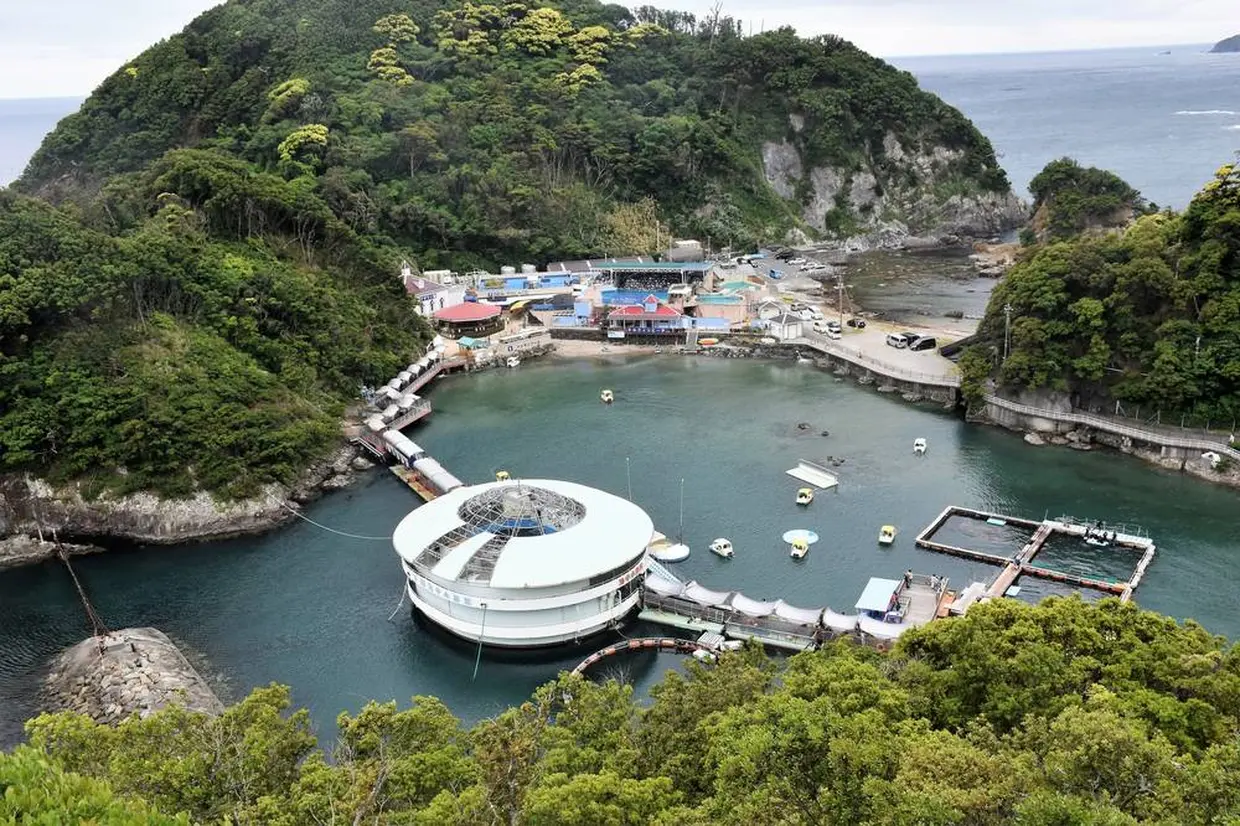 下田海中水族館
