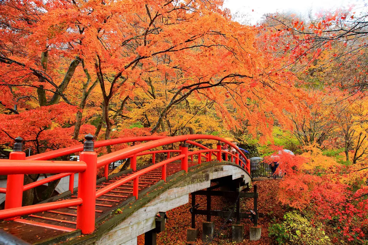 河鹿橋