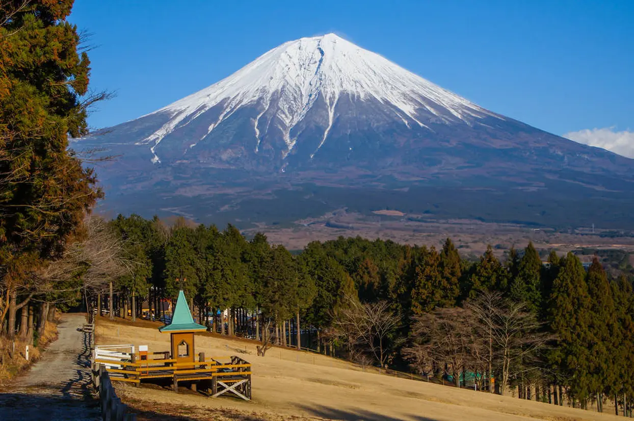 まかいの牧場