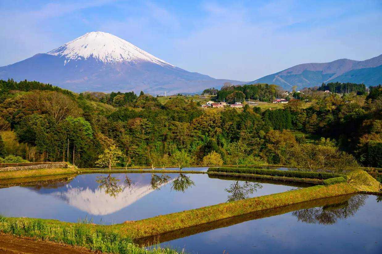富士山樹空の森