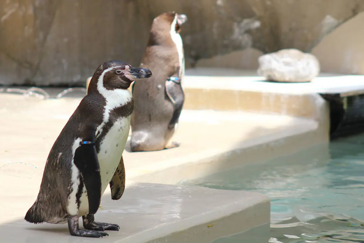 新潟市水族館 マリンピア日本海