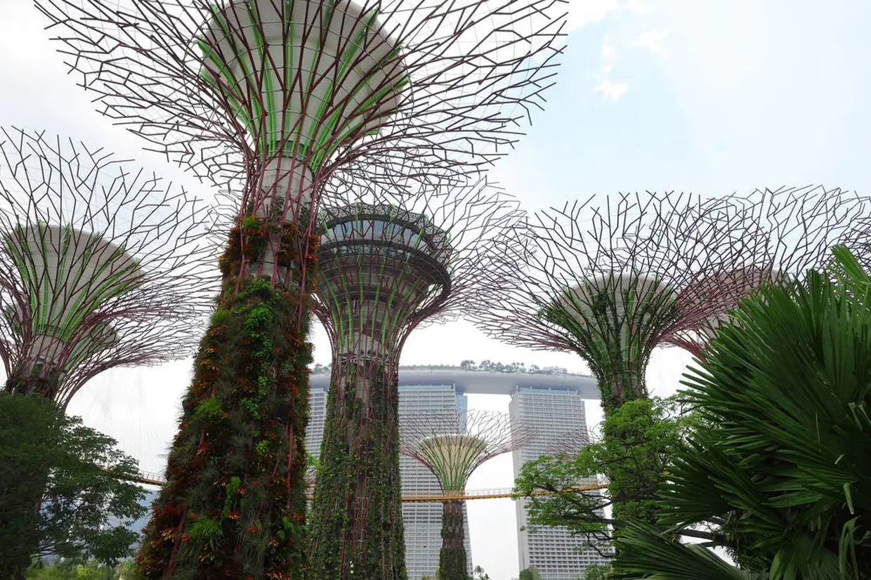 ガーデンズ・バイ・ザ・ベイ（Gardens By The Bay）© 2019 Singapore Tourism Board.