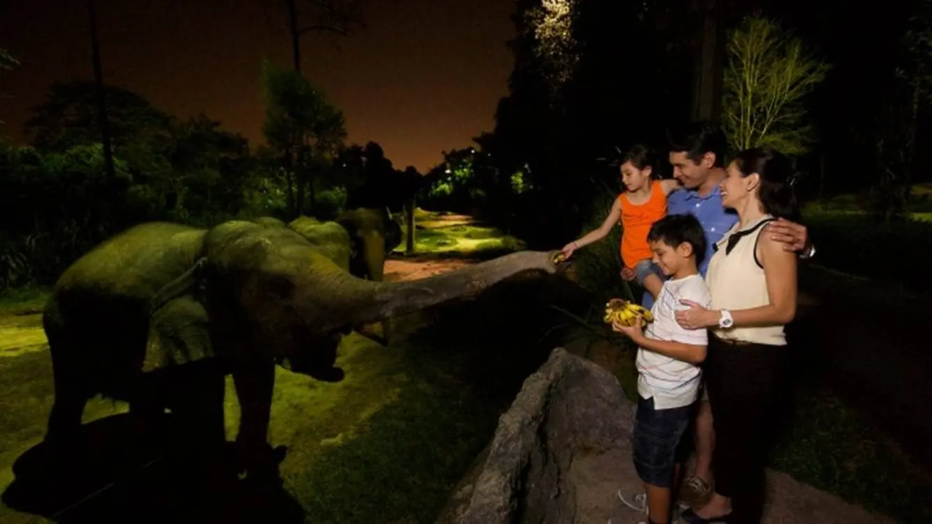 ナイトサファリ（Night Safari）© 2019 Singapore Tourism Board.
