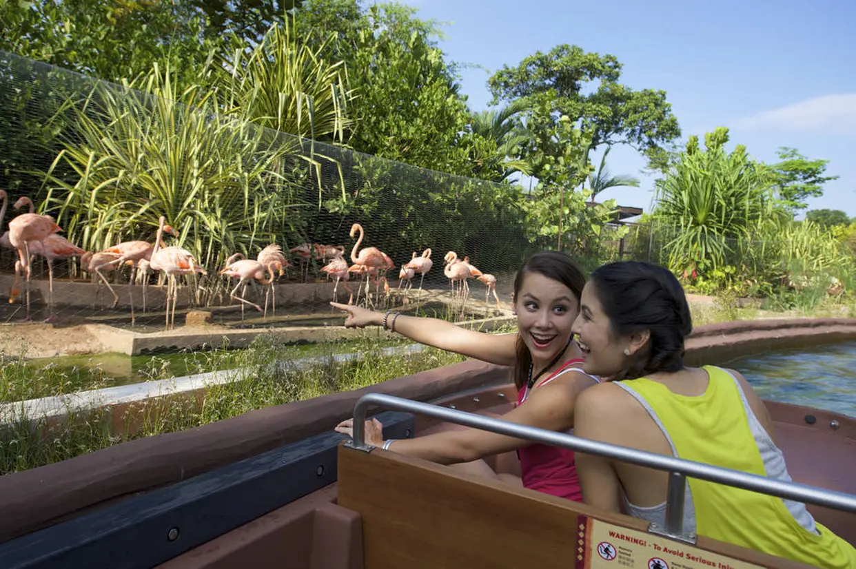 リバーサファリ（River Safari）© 2019 Singapore Tourism Board.
