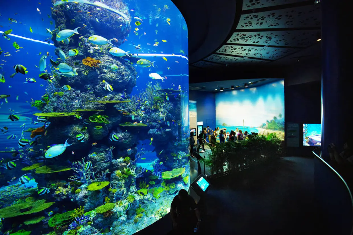 シーアクアリウム（S.E.A. Aquarium）© 2019 Singapore Tourism Board.