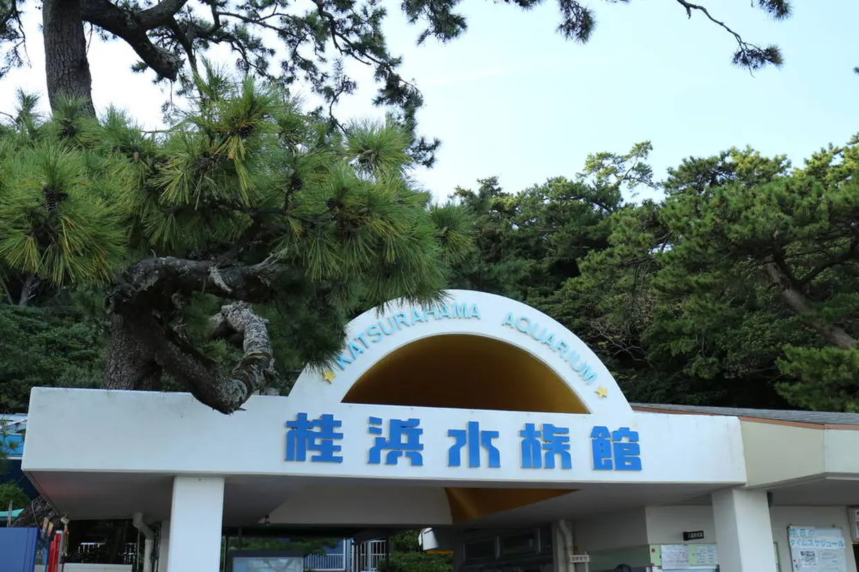 桂浜水族館