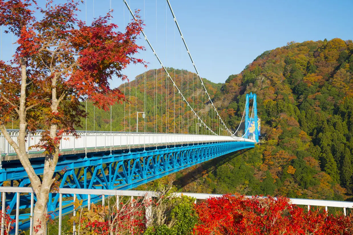 竜神大吊橋