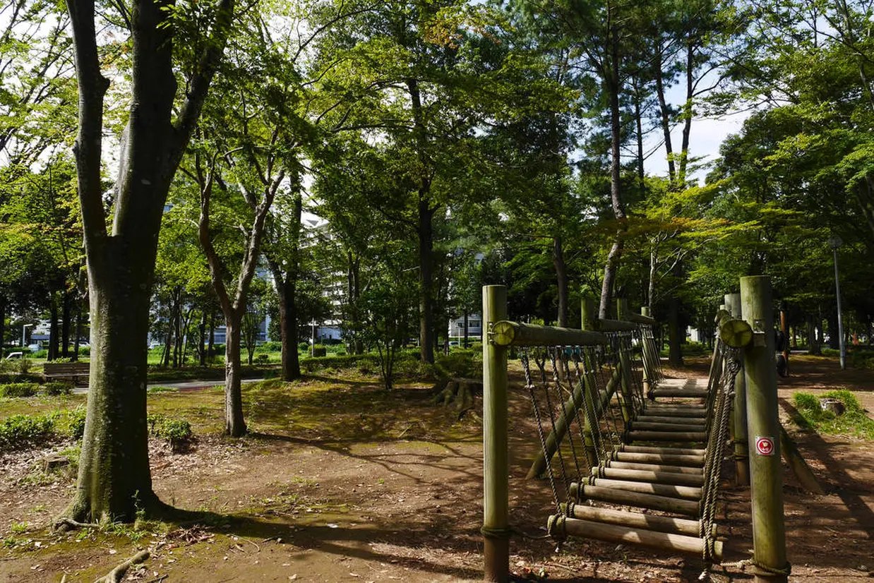 洞峰公園