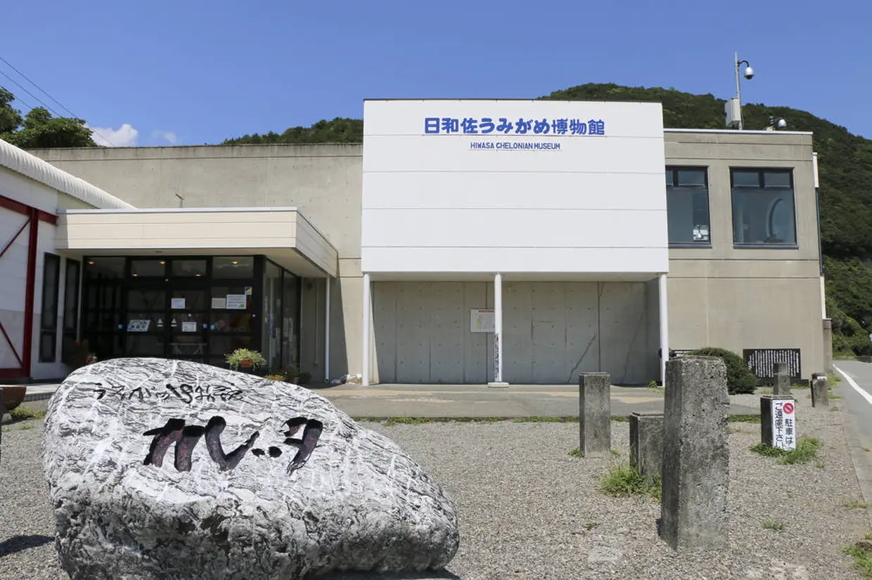 日和佐うみがめ博物館「カレッタ」
