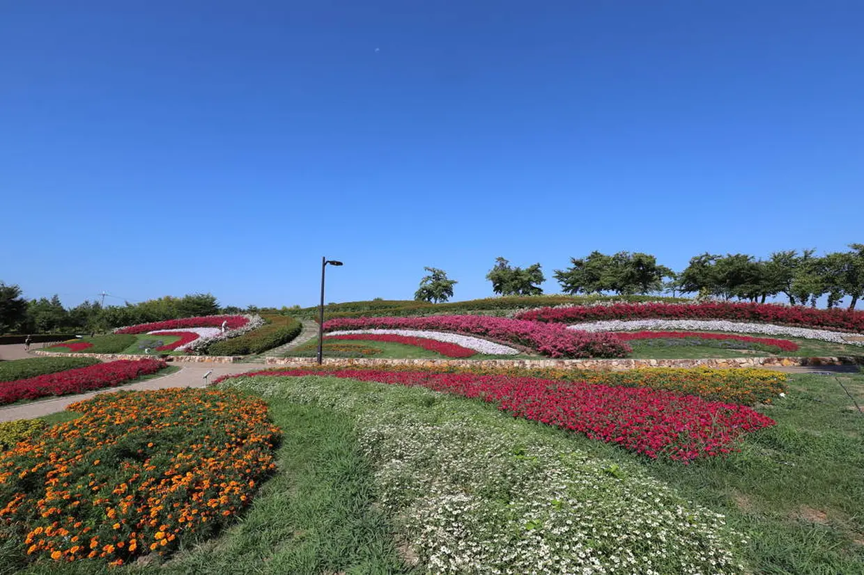 馬見丘陵公園