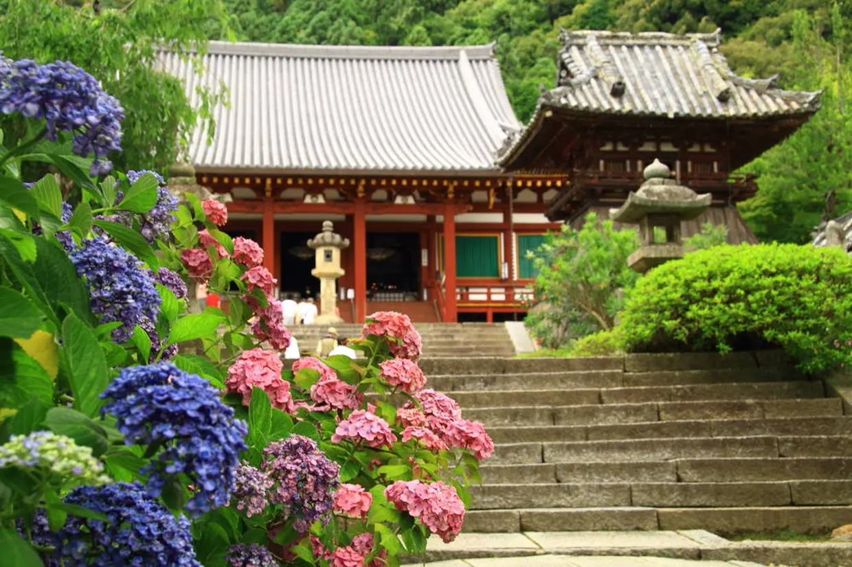 矢田寺