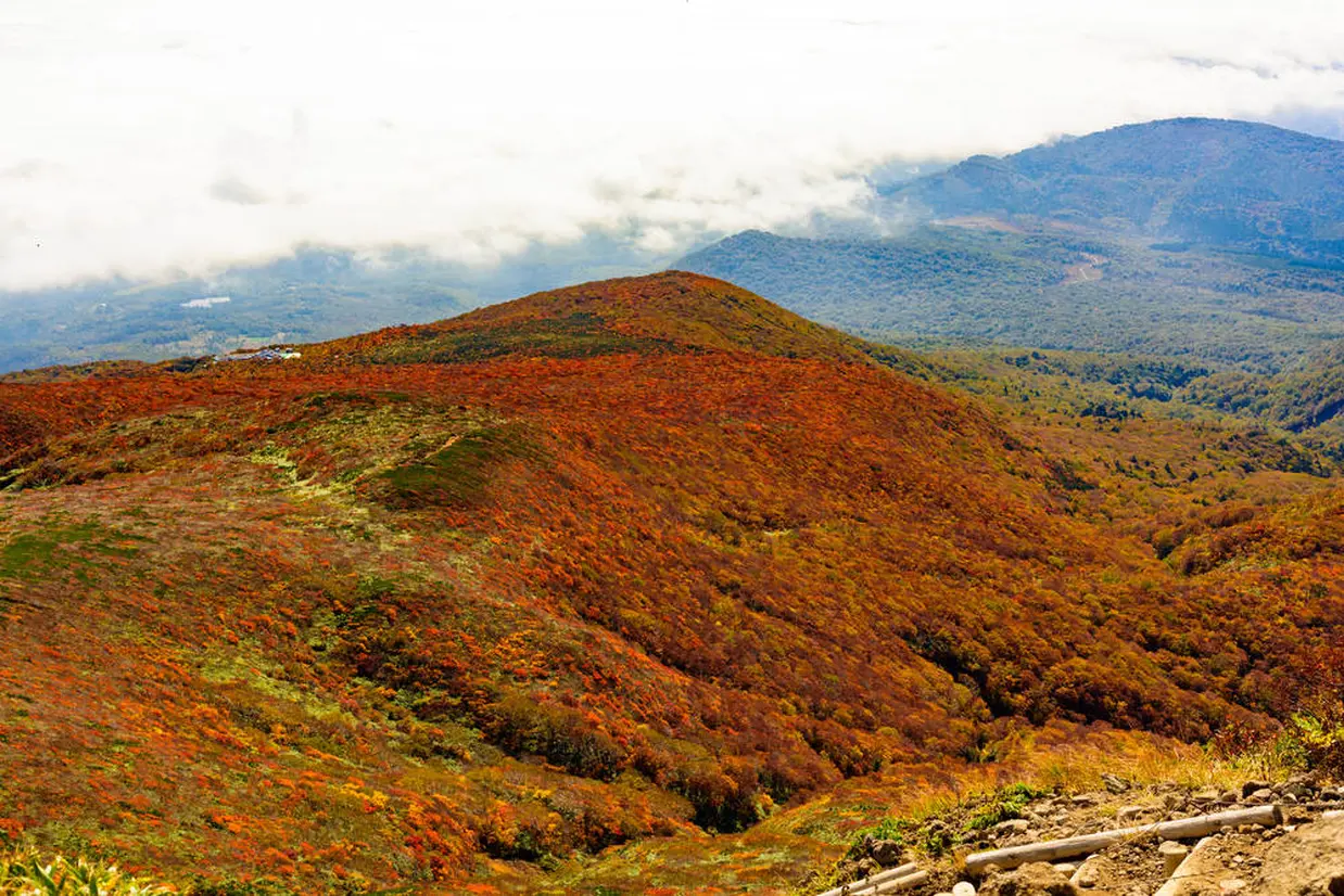 栗駒山の紅葉
