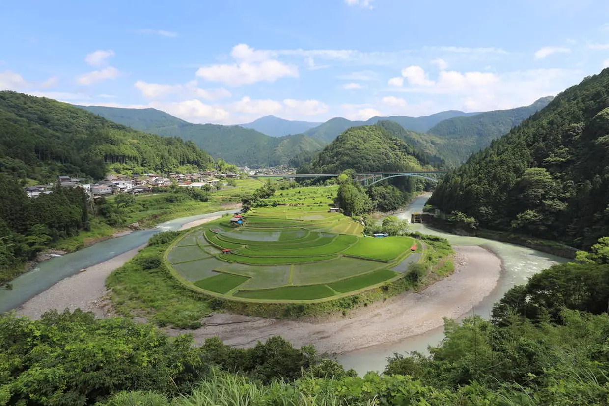 あらぎ島