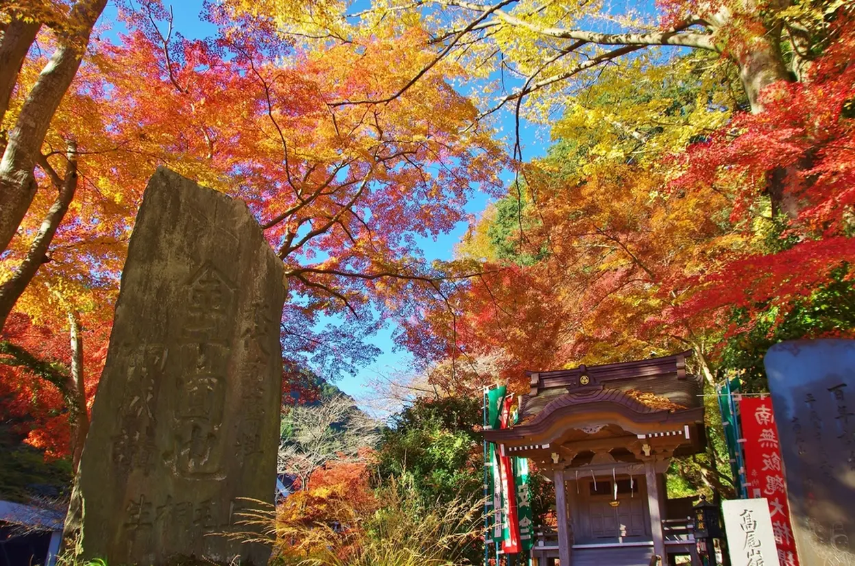紅葉