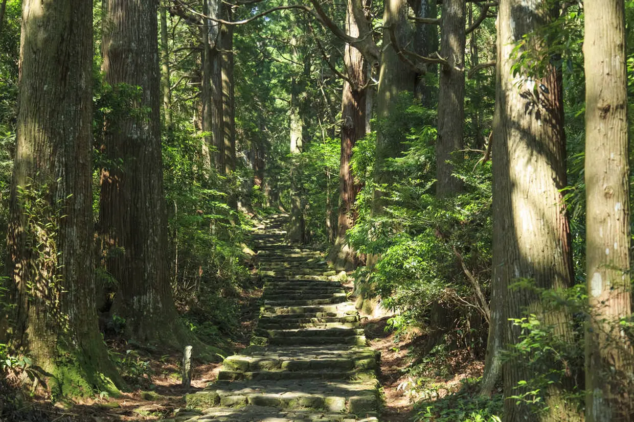 熊野古道（大門坂）