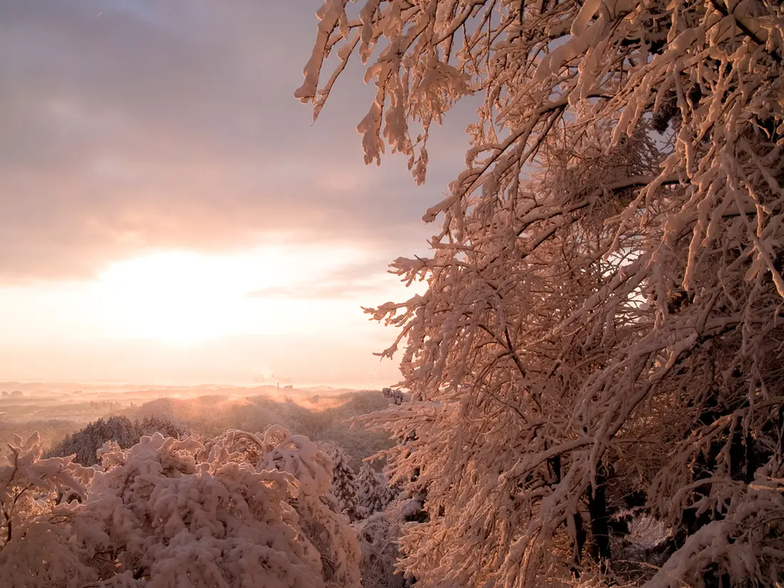 雪景色