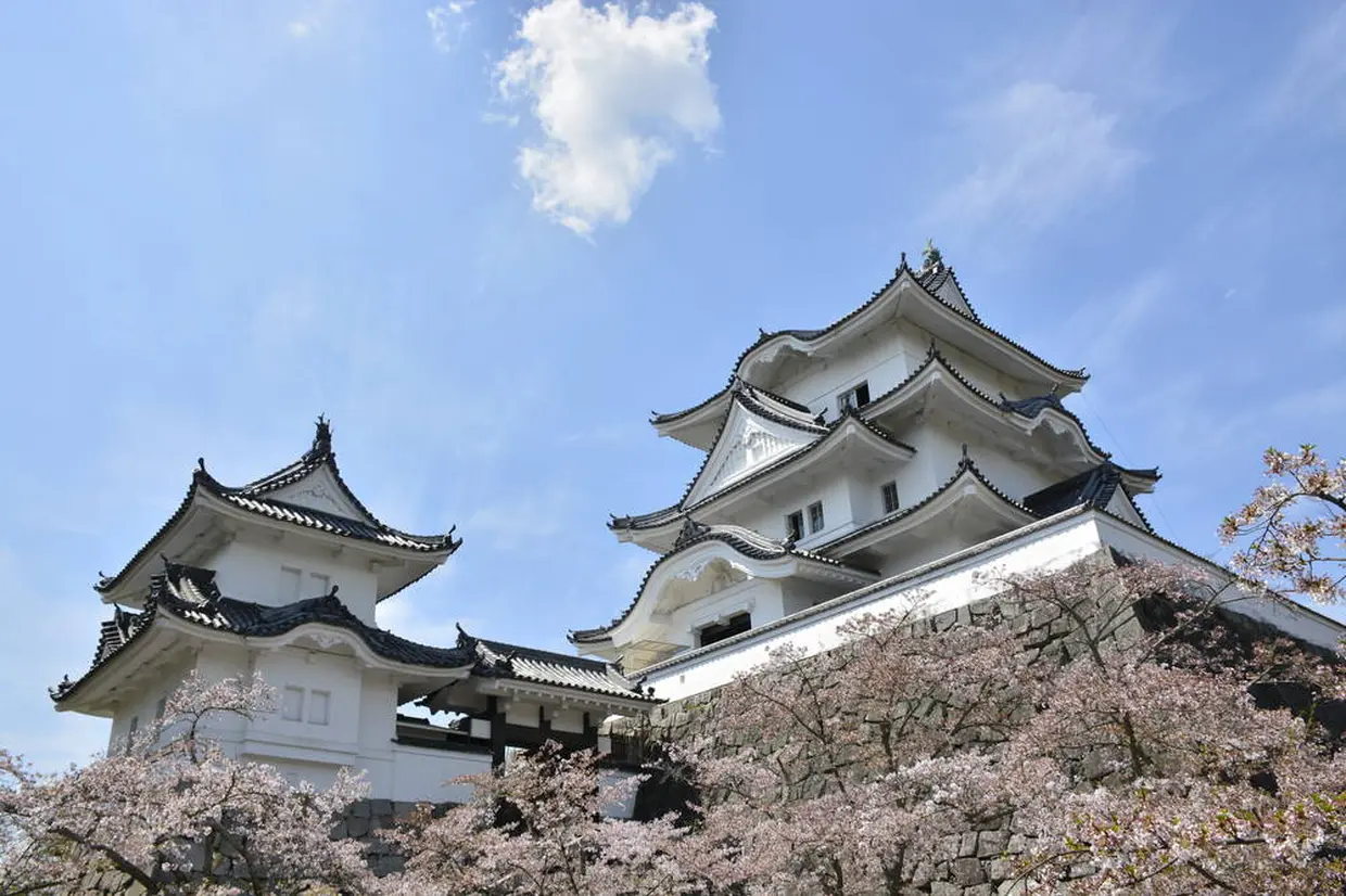 伊賀上野城