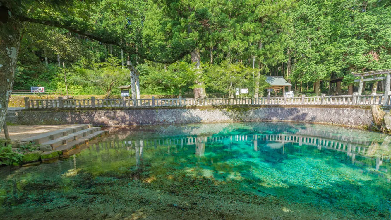 別府弁天池
