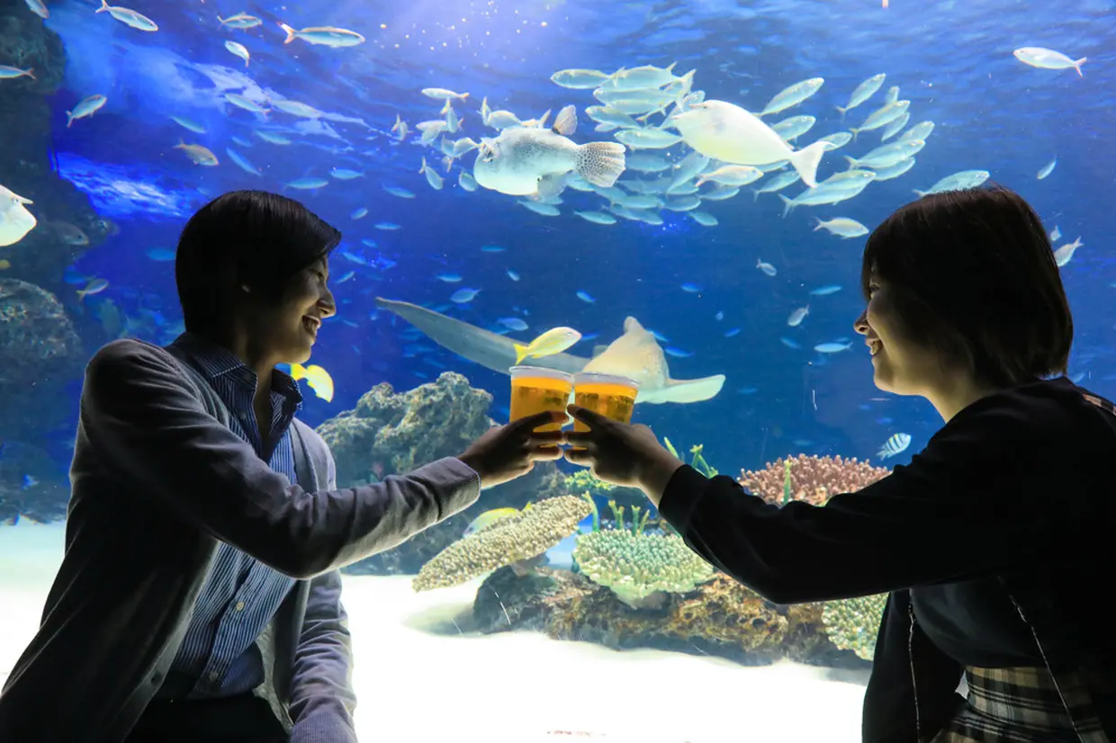 生き物たちを見ながらビールを1杯!「サンシャイン水族館 天空酒場2018」が池袋にオープン