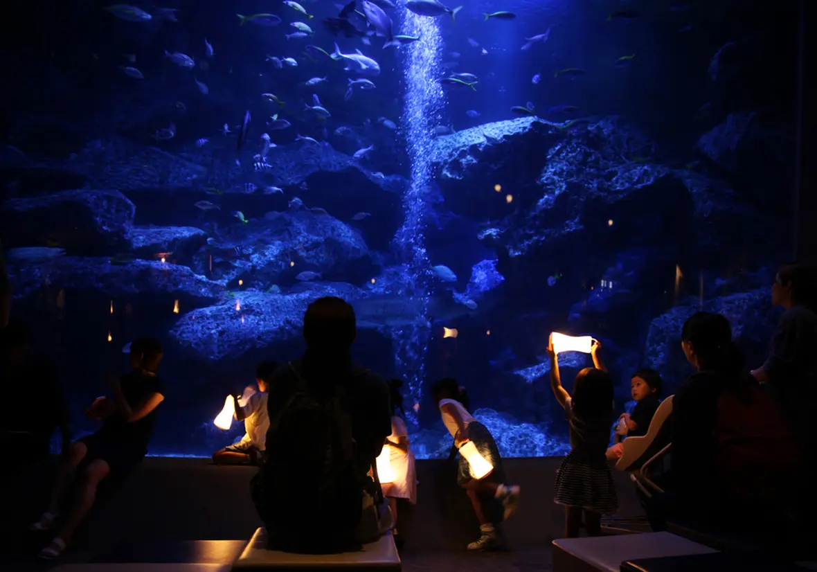 すみだ水族館×東武動物公園がコラボ「なつとほたるとすいぞくかん」ホタルの光とともに夏の涼を楽しめる