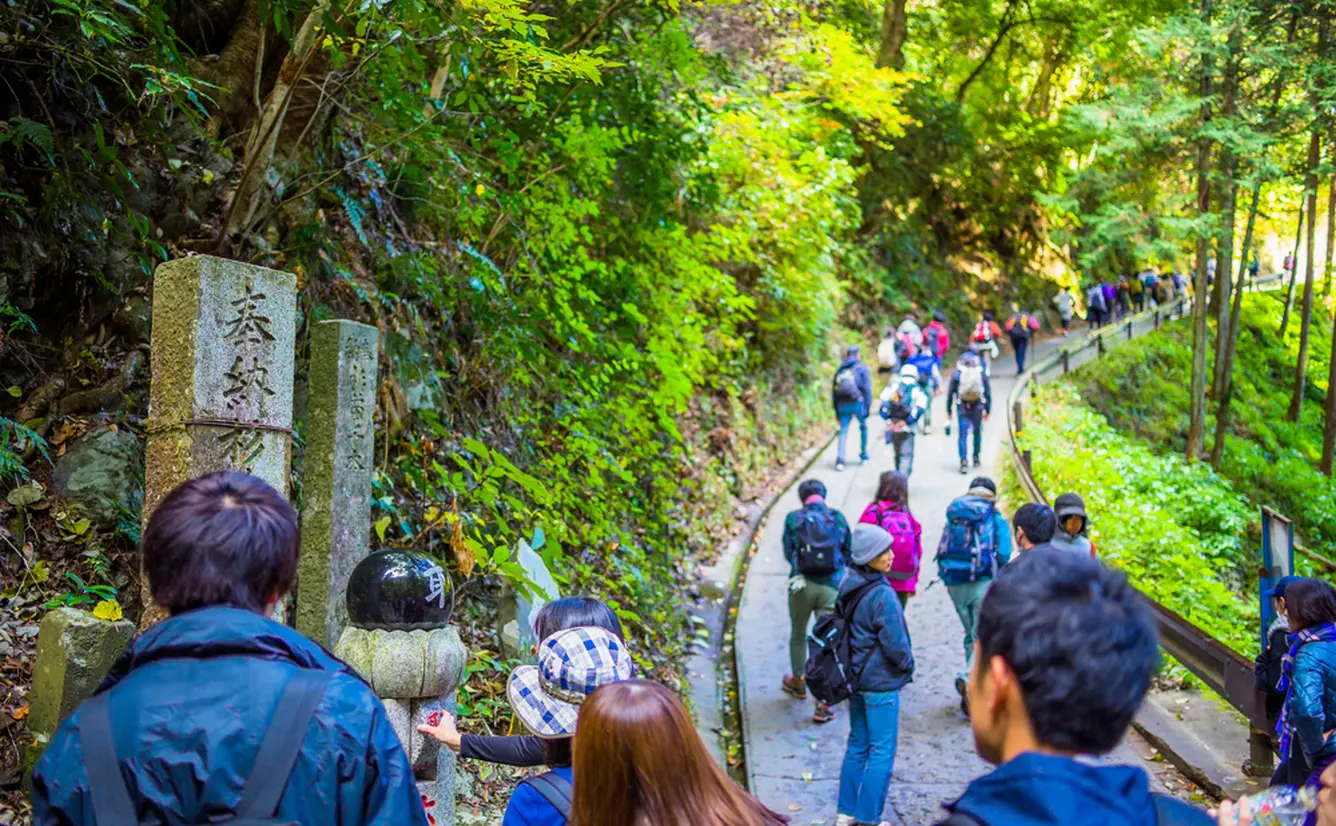 高尾山の一番人気の登山コース「自然研究路1号路」を紹介！のカバー画像