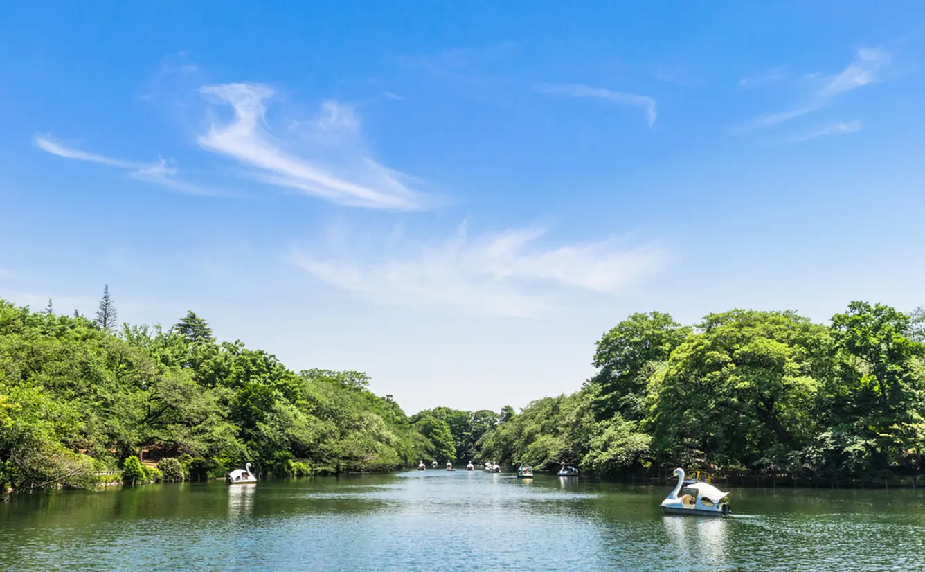 東京の観光地・穴場スポット40選のカバー画像
