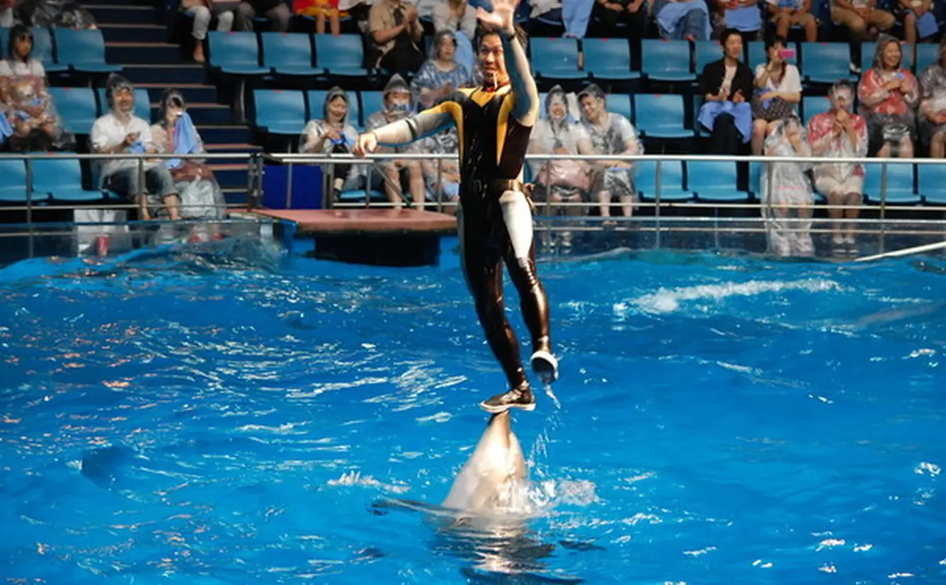暑い夏のおでかけに！屋内で楽しめる都内の水族館・イベントまとめのカバー画像