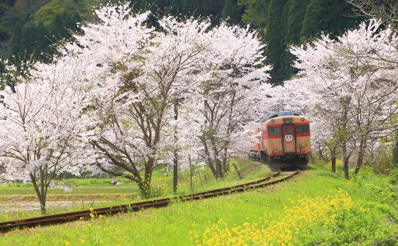 千葉旅行ガイド！人気エリアや見どころ・アクセス情報が満載！のカバー画像