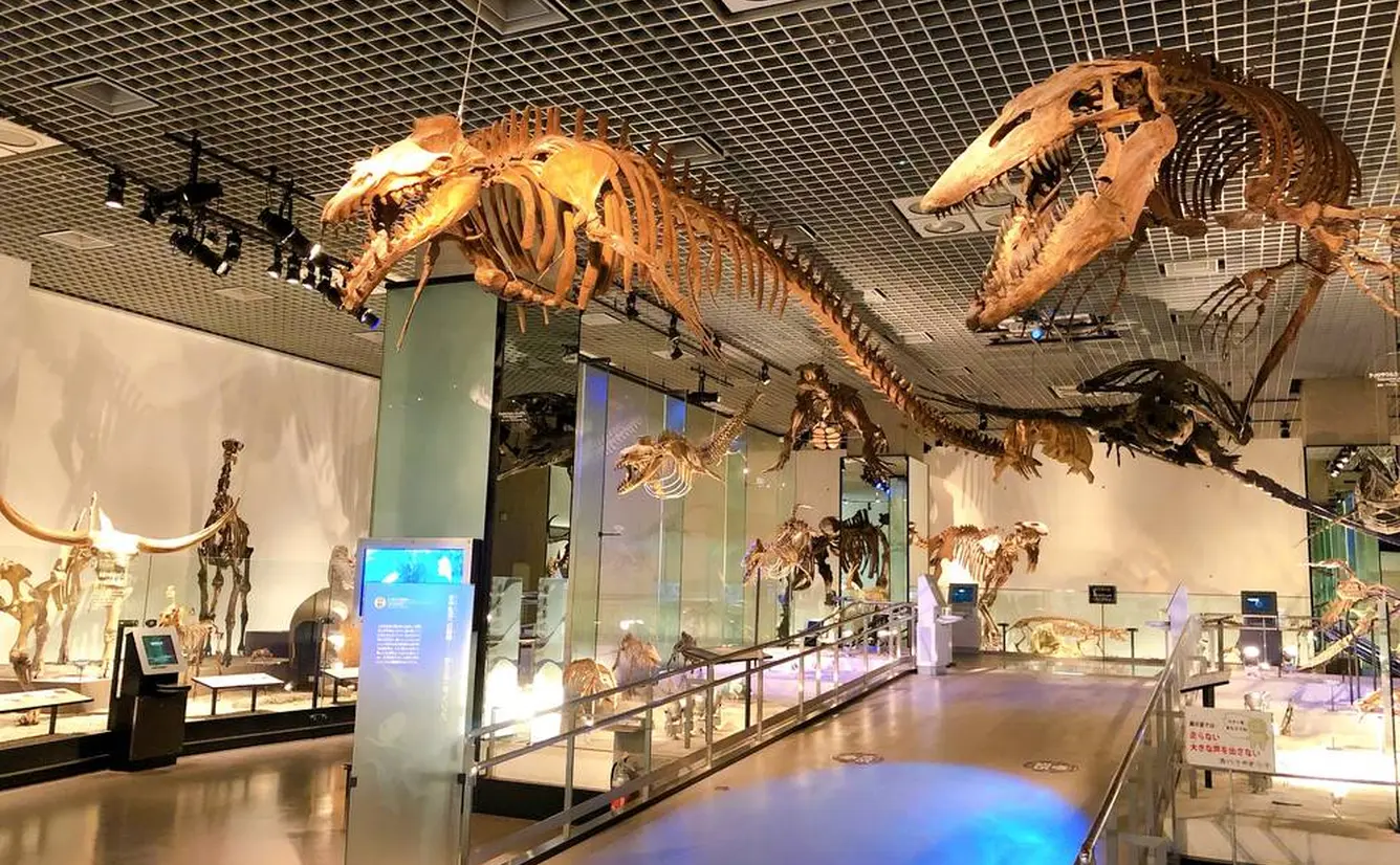 【国立科学博物館の楽しみ方完全ガイド】親子で学べる体験型ミュージアム！のカバー画像