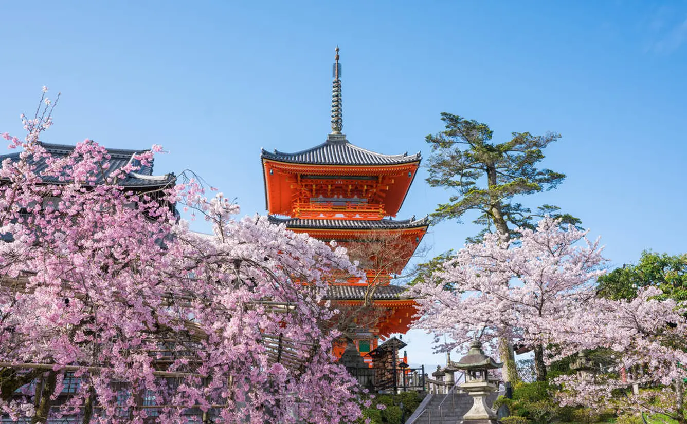 【京都観光】4月はここをチェック！のカバー画像