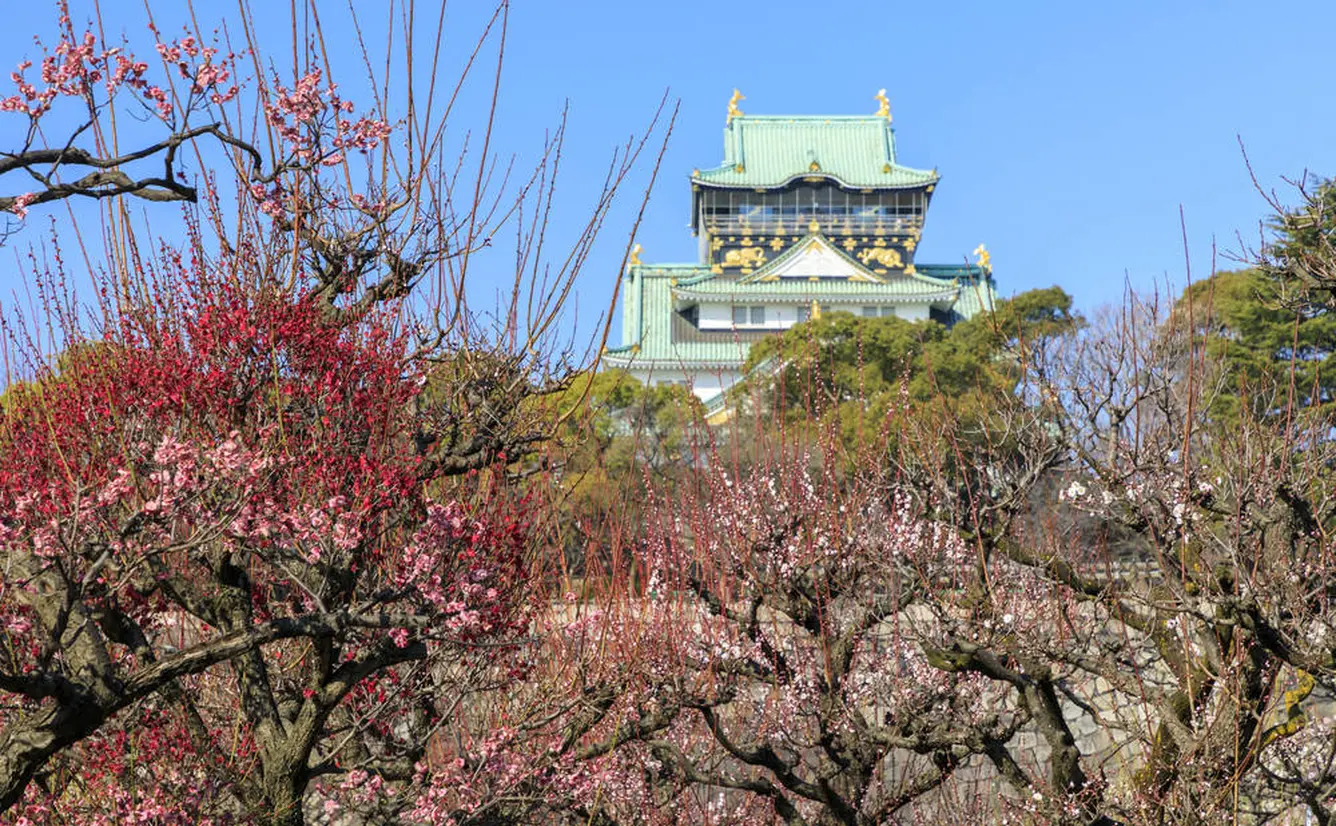 【大阪観光】3月はここをチェック！のカバー画像