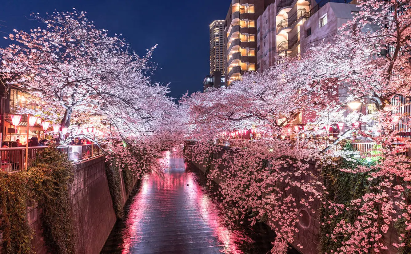 【東京観光】4月はここをチェック！のカバー画像