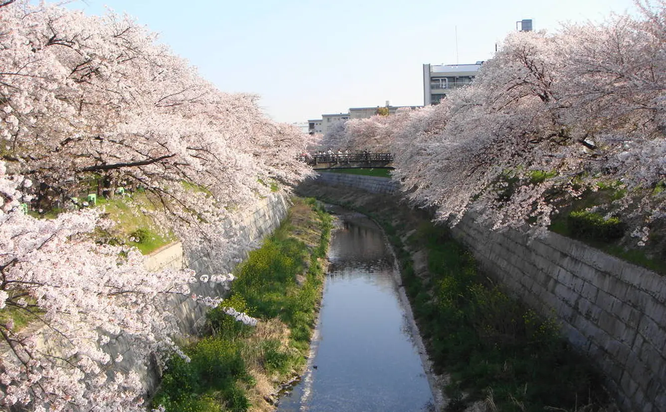 【名古屋観光】4月はここをチェック！のカバー画像